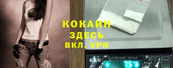 PSILOCYBIN Кулебаки