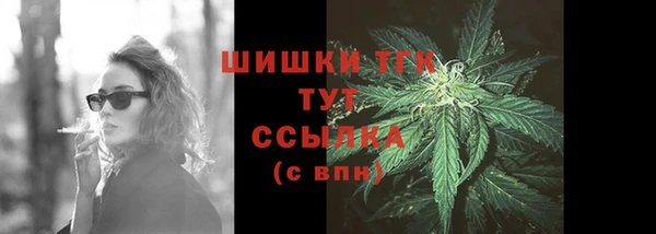 PSILOCYBIN Кулебаки