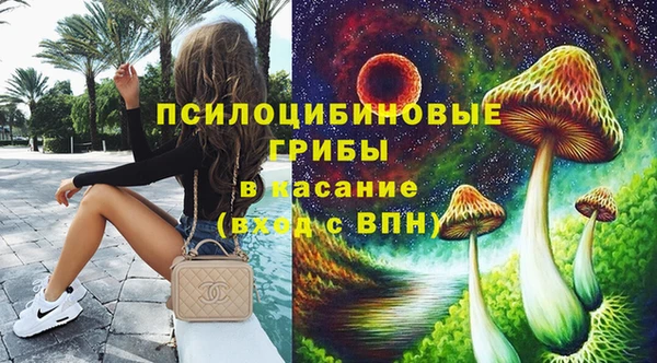 мяу мяу мука Кукмор