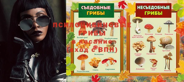 мяу мяу мука Кукмор