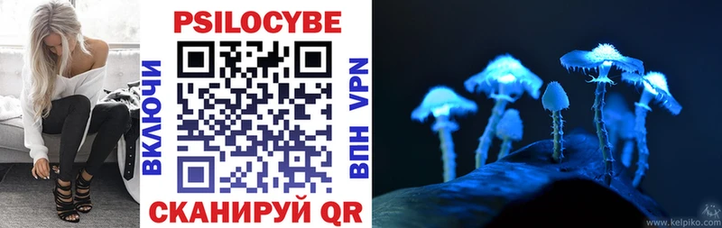 Купить где  Гай  Псилоцибиновые грибы MAGIC MUSHROOMS 